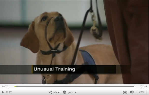 CPL Prison & Pups Program